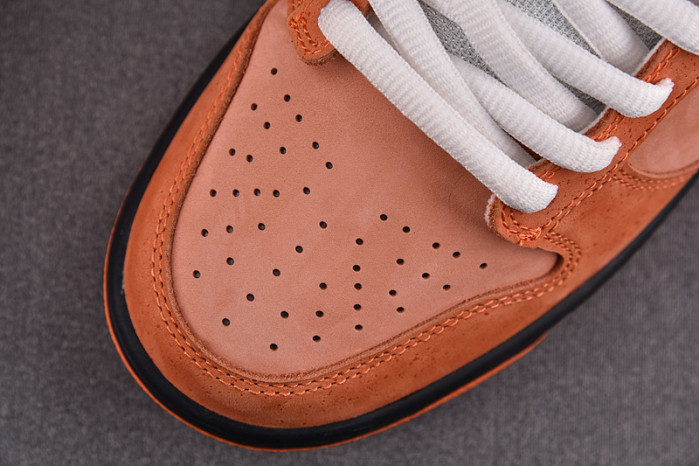 nike sb dunk low concepts orange lobster fd8776-800